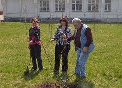 Actions “Clean Environment” and “Plant a Tree”